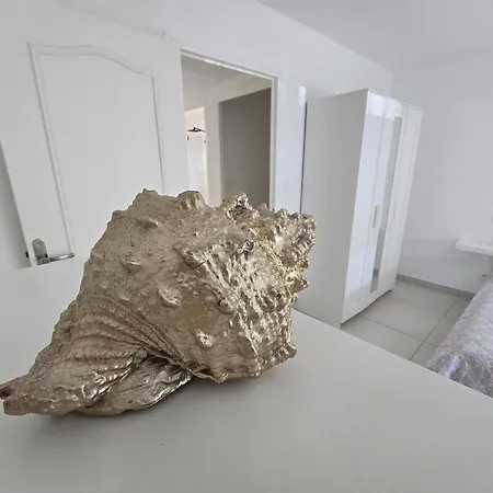 Magnifique Bord De Apartment